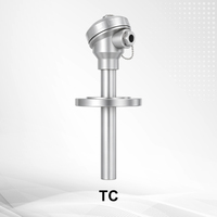 Sensor Tahanan Termal Digital Seri NCS-TC Termokopel RTD Pt100 Terpasang Output 4-20MA OEM/ODM IP65