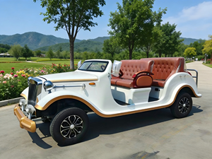 Vehículo Clásico Vintage para Turismo, Alta Durabilidad, Fácil Operación, Apto para Campos de Golf y Clubes Privados - Product Image 1
