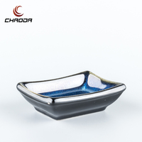 Japanische Sojasauce Dish Dipping Bowl Teiler Abschnitt Dish Plate Tray Geschirr für Sauce Einzigartiges Design Keramik