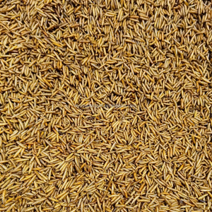 يرقات BSF المجففة الممتازة - إضافة غذائية للخنازير والماشية - Product Image 4