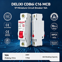 MCB Mini Tembaga 1-Pole Delixi 25A Arus Terukur Tahan Debu Perlindungan Kebakaran Kapasitas Pemutusan 6kA Bersertifikasi CCC CE Din Rail