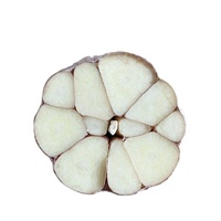 Prix CIF 2026 pour l'ail blanc de Valparaíso au Chili, ail blanc pur frais chinois 4p