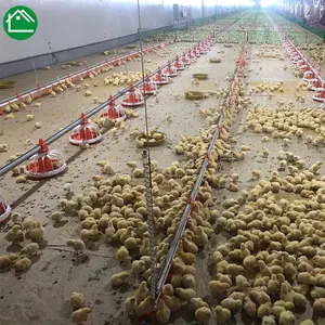 Trusted manufacturers steel chicken egg broiler house shed poultry farm building