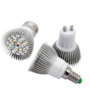 Luces LED <span class=keywords><strong>para</strong></span> cultivo <span class=keywords><strong>de</strong></span> <span class=keywords><strong>plantas</strong></span> <span class=keywords><strong>de</strong></span> 220V y 110V E27 E14 GU10, Bombilla <span class=keywords><strong>para</strong></span> lámpara <span class=keywords><strong>de</strong></span> cultivo, lámparas <span class=keywords><strong>de</strong></span> crecimiento <span class=keywords><strong>de</strong></span> 28 leds, Phytolamp <span class=keywords><strong>de</strong></span> espectro completo <span class=keywords><strong>para</strong></span> jardín interior - Product Image 5