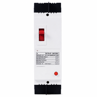Disjoncteur différentiel à boîtier moulé DZ15LE 100A 2P 40A 63A 100A, protection contre les fuites à la terre, interrupteur automatique AC220V