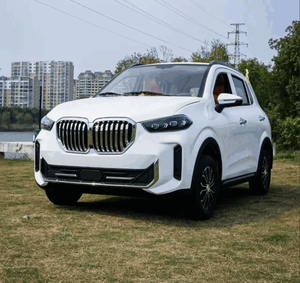 Nuevo Auto Eléctrico de Energía Renovable en Oferta, con Batería de Litio, Motor de 3500-5000 W, Calefacción Eléctrica, Color Blanco, SUV Moderno - Product Image 1