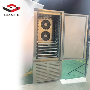 Réfrigérateur commercial Grace en acier inoxydable Congélateur Congélateur Machine de congélation rapide avec capacité de <span class=keywords><strong>930L</strong></span> - Product Image 5