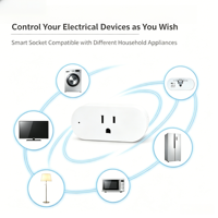 Prise intelligente US FY12, série multi-protocoles WiFi/Zigbee, moniteur de puissance, préprogrammé Tasmota/eWeLink Tuya/Alexa/Google OEM/ODM CE ROHS