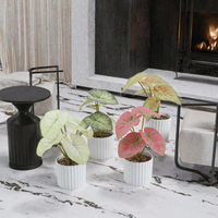 AYOYO Petite plante artificielle verte durable pour la maison et le bureau, pot décoratif en plastique pour intérieur, vente en gros pour la remise des diplômes, les mariages, Noël