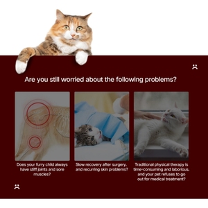 Azure PDT Infared <span class=keywords><strong>Dog</strong></span> Cat <span class=keywords><strong>Pet</strong></span> Crate ODM/OEM Terapia de luz roja Carrier Kennel Small Animal Health Device Bed Type Houses Metal - Product Image 3