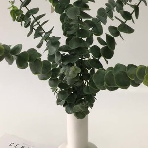 Pianta simulata <span class=keywords><strong>eucalipto</strong></span> foglia di denaro decorazione interna pianta verde composizione floreale ornamento singolo <span class=keywords><strong>eucalipto</strong></span> - Product Image 2