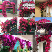 Graines de bougainvilliers artificielles bugambilia branches de fleurs de cerisier artificielles bougainvilliers