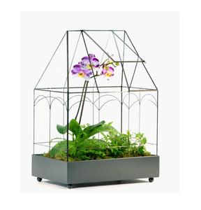 Glamorous Brass Frame <b>Glass</b> Box Terrariums Ideal for Wedding Tabletop and Home Decoration Stylish Antique <b>Glass</b> Ring Bearer - Product Image 3