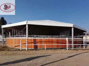 CE CERTIFIED Hot Sales <strong>Horse</strong> Walker With Italy Motor Customized Roof and Fence - Product Image 2