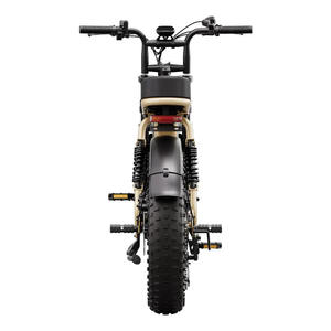 <span class=keywords><strong>Vélo</strong></span> <span class=keywords><strong>cargo</strong></span> électrique, stock entrepôt UE, <span class=keywords><strong>vélo</strong></span> électrique pour femme, <span class=keywords><strong>vélo</strong></span> électrique à pneus larges de 20 pouces pour la conduite urbaine et le cyclisme de loisirs - Product Image 3