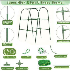 Pepinos trepando por tubos flexibles arqueados hechos de varas de bambú para su soporte. Se utilizan para huertos y invernaderos. - Product Image 3