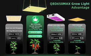 2x2ft Mini <strong>Greenhouse</strong> Grow Tent Kit <strong>for</strong> Weed W/ 120W LED, Fan, Timer, Carbon Filter | Indoor Grow Tent <strong>for</strong> Small <strong>Greenhouse</strong> - Product Image 4