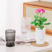 Pot de fleurs hydroponique transparent en PET, auto-amorçant, culture de l'eau et du sol, style nordique, anti-fissuration, transmission de la lumière
