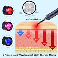 Lampe torche portable de luminothérapie infrarouge à succès : 460nm, 630nm, 660nm, 850nm, 900nm