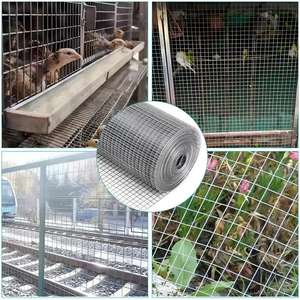 <span class=keywords><strong>1</strong></span>/2x1 1x1 tùy chỉnh Electro gi nhúng nóng mạ kẽm hàn dây sắt lưới cuộn gà chạy hàng rào lưới để bán - Product Image 6
