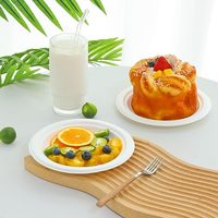 Assiette jetable compostable écologique moderne de marque Neatal en bagasse de canne à sucre pour fêtes et camping – Prix de gros bas
