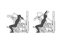 Appareil de musculation des triceps et des biceps (extension et dips) avec siège réglable et sélection de poids, équipement de gym commercial