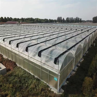 Serre Multispan à bas prix pour légumes Serre personnalisée Serre agricole rentable de qualité supérieure à vendre
