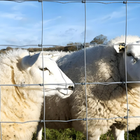 Panneaux de cour Clôture en treillis métallique en acier galvanisé de style haut pour ferme d'élevage Filet en treillis pour bétail Chèvre Mouton Cerf Cheval Ranch Utilisation