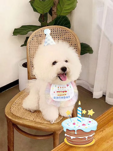 قبعة صغيرة تزيين كعكة عيد الميلاد زينة زينة زينة كلب القط عيد ميلاد باندانا وشاح مع قبعة لطيفة - Product Image 6