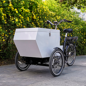 Tricycle <span class=keywords><strong>cargo</strong></span> pour enfants, personnalisé pour le transport de marchandises, très vendu en Europe, pour la livraison express, chariot porte-marchandises en aluminium, en vente - Product Image 3