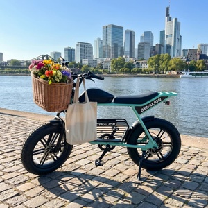 <span class=keywords><strong>Vélo</strong></span> <span class=keywords><strong>électrique</strong></span> tout-terrain 7 vitesses couleur personnalisée avec pneus larges <span class=keywords><strong>de</strong></span> 4 pouces, VTT <span class=keywords><strong>électrique</strong></span> pour l'exploration des sentiers forestiers - Product Image 5