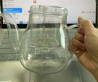 Théière en verre borosilicate soufflée à la main de 350 ml et 450 ml avec infuseur et filtre à pression pour la cérémonie du thé à la maison ou au bureau