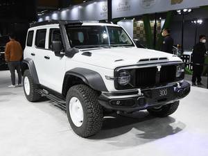 Vente en gros Great Wall Tank 300 Modèle 2024 2.0T Challenger Conqueror Explorer Véhicule tout-terrain Tank 300 Voiture de voyage Cyberspace - Product Image 5