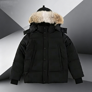 Parka Invernale GYQ Stile Classico di Alta Qualità, Giacca Antivento con Vera Pelliccia di Coyote, Piumino d'Oca Canadese per Uomo - Product Image 1
