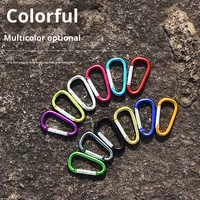 Mousqueton personnalisé en alliage d'aluminium de 40 mm avec logo, forme en D, crochet à ressort, porte-clés pour accessoires de camping en plein air et sacs à dos