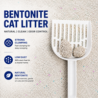 Litière pour chat en bentonite purement naturelle et biodégradable, agglomérante, contrôle des odeurs, parfum lavande, forme de boule, emballage OEM disponible