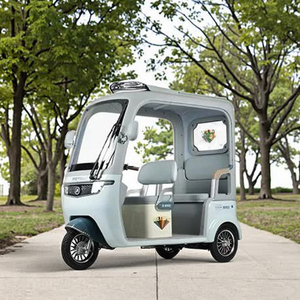 Tricycle électrique à toit ouvert Metropolis, moteur 60 volts 650W, 3 places, certifié CCC, matériau en acier, capacité de charge utile - Product Image 5