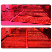 Couverture de luminothérapie rouge corps entier 200W 660nm 850nm, Tapis de luminothérapie rouge, Sac de couchage de luminothérapie infrarouge proche, Vente en gros usine OEM ODM