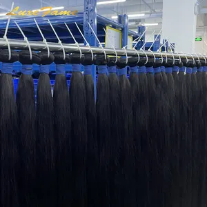 Fournisseurs de paquets de cheveux humains vierges alignés sur les cuticules brutes de meilleure qualité de qualité 12A Cheveux humains brésiliens à double tirage