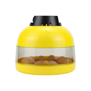 Incubateur manuel <span class=keywords><strong>Janoel</strong></span> <span class=keywords><strong>10</strong></span> œufs de poule <span class=keywords><strong>couveuse</strong></span> de volaille couveuses pour poulets canards oies oiseaux oeufs de caille oeufs d'oiseaux - Product Image 3