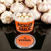 Contenant de sauce à l'ail de qualité alimentaire avec poignée et couvercle en PP, impression personnalisée, résistant à la congélation, inviolable, 16oz 500g 500ml 1000ml
