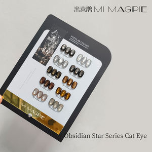 เจลทาเล็บตาแมว 10 สี แอมเบอร์ คลาส คุณภาพสูงจาก AILANUO สำหรับร้านเสริมสวย ติดทนนาน เจลเรซิ่นทาเล็บตาแมวยอดนิยม - Product Image 2