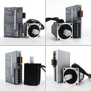 ชุดขับมอเตอร์ DC แรงบิดสูงสำหรับอุตสาหกรรม DS-P 48V 750W 2.4Nm 3000RPM 19A สำหรับบรรจุภัณฑ์เครื่องเลเซอร์ - Product Image 1