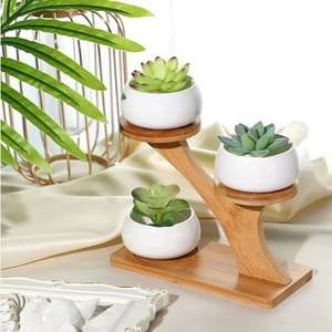 3 <b>Tier</b> Bamboo Succulent <b>Plant</b> <b>Stand</b> Desktop Display Rack Minimalist Design Indoor Use - Product Image 5