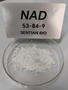 NAD Supplement Beta-Nicotinamide Adenine Dinucleotide NAD+ Lyophilized Powder Pure Beta-Nicotinamide Adenine Dinucleotide - Product Image 4