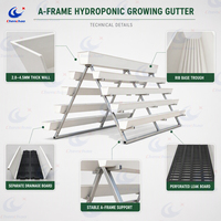 Système d'agriculture verticale multicouche personnalisé, système de culture hydroponique avec irrigation goutte à goutte pour la laitue
