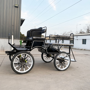 Carruaje de Caballos para Turismo Europeo, Club Ecuestre, Caballo Negro para Entrenamiento de Maratón - Product Image 2