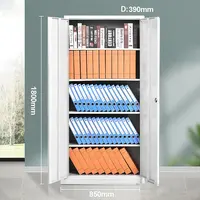 Custom Metal 2 Door Storage Cupboard, Steel Filing Cabinet