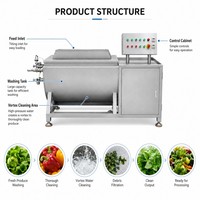 Multifunctionele automatische hef- en draaivormige fruit- en groentewasmachine voor mosselen, vis, eend en vlees