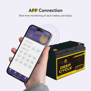 12.8V 12V 100AH 200AH 300ah 400ah pin Lithium ion năng lượng mặt trời cắm trại biển LCD chu kỳ sâu 6500 + chu kỳ LiFePO4 lipo4 Pin - Product Image 3